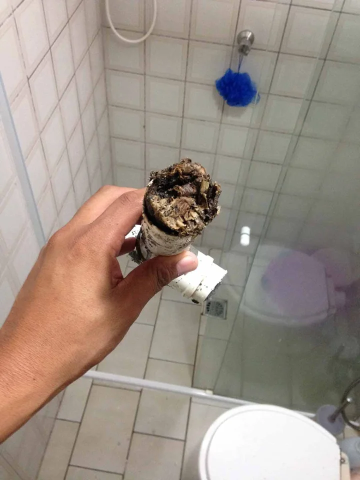 Serviço real de encanador em São José